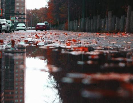 雨水.jpg