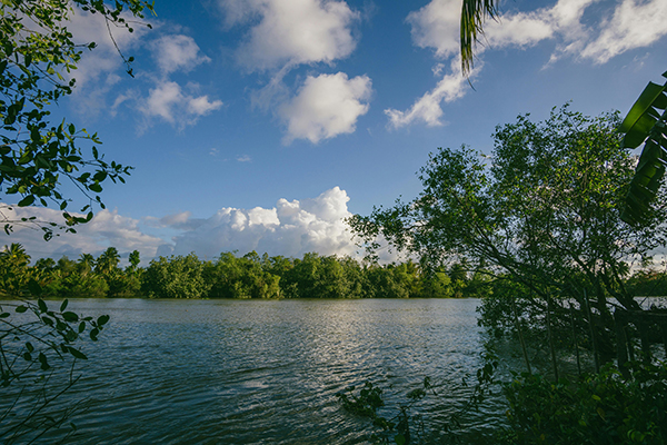 1773637449268654.jpg pexels-fox-58267-929361.jpg