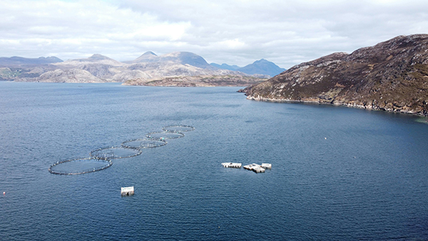 1775176459590525.jpg pexels-e-stephen-2155349928-33677972.jpg